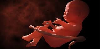 Biasanya gerakan bayi akan terasa saat mendapat stimulasi cahaya. Bayi Bernafas Dalam Kandungan Bagaimanakah Caranya Hello Doktor