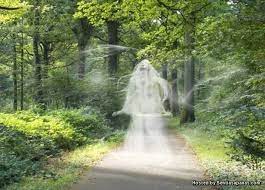 Dalam islam, mempercayai adanya kekuatan lain yang dapat memberikan mudharat kepada. Apa Itu Orang Bunian Dalam Pandangan Islam Sentiasa Panas