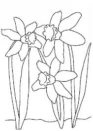 Wild Daffodil Coloring Page Flower Line Drawings Coloring Pages Daffodils