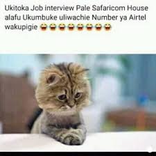 Kenya hathaway was also the voice actor for sunny funny in the playstation video game, parappa the. Funny Kenya Memes Posts Facebook