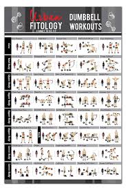 Buy Dumbbell Exercises Workout Poster Now Laminated Home