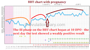 8 14th dpo determine pregnancy before missed period