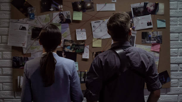Corporate Investigation product image