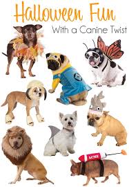 Adorable And Simple Halloween Costumes For Dogs Dog Halloween Costumes Pet Halloween Costumes Christmas Dog Costume