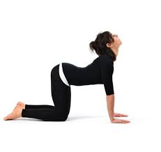 Pin On Pain Management