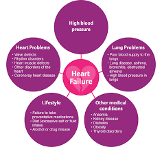 Heart Failure Basics The Heart Failure Policy Network