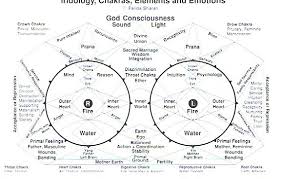 Qwest 4 Health Iridology