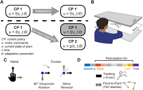 Jawaban task 2 observe these pictures and photos. De Novo Learning Versus Adaptation Of Continuous Control In A Manual Tracking Task Biorxiv