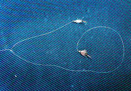 This rig is great for fish that lie just beneath the stream's surface if you are looking for a. The Two Fly Setup The Fly Fishing Basics