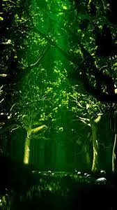 We would like to show you a description here but the site won't allow us. Free Download Dark Forest Iphone Wallpaper Green Forest Iphone Wallpapers 636x1136 For Your Desktop Mobile Tablet Explore 48 Dark Green Iphone Wallpaper Dark Knight Iphone Wallpaper Dark Souls 3
