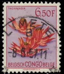 Image result for Thonningia