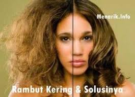 Zamzam Hair Oil Zamzam Oil Zam Zam Oil Minyak Zamzam Minyakjenggot Zamzam Hair Oil Tips Cara M Rambut Tebal Merawat Rambut Kering Rambut Bercabang