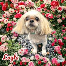 Kayla Borel's Instagram, Twitter & Facebook