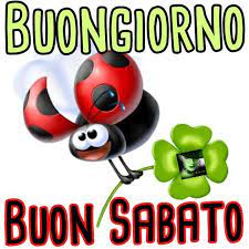 Buongiorno Buon Sabato Buon Sabato Buongiorno Sabato Buongiorno