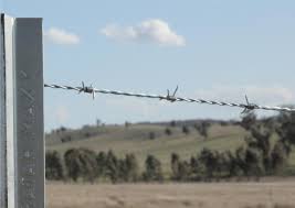 Secara perlahan kelupas sekitar 1.3cm 1⁄2 inch (1.3 cm) penutup tiap kawat, sama seperti yang anda lakukan pada kabel telepon sebelumnya. Jual Kawat Duri Baja Kab Luwu Utara Sulawesi Selatan Jual Pagar Brc Com