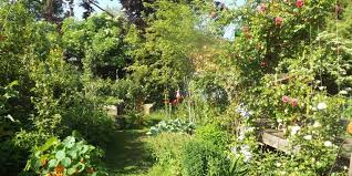 Die schoensten rosen und stauden im juni vor 1 woche gartenbuddelei. Slow Food Garten Fur Geniesser Und Insekten Bluehbotschafter Eu Engagement Mit Mehrwert