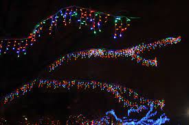 Icicle Lights Hung From Tree Branches Outdoor Christmas Icicle Lights Led Icicle Christmas Lights Outdoor Christmas Light Projector