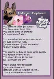 Check spelling or type a new query. The German Shepherd Mothers Day Poems German Shepherd Dogs German Shepherd