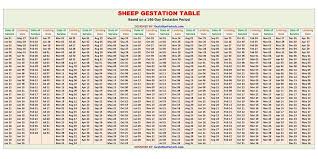 Sheep Gestation Table Chart In 2020 Gestation Calculator Cat Gestation Pregnant Dog