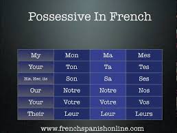 french possessive adjectives france french adjectives