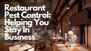 B & d pest solutions llc. Restaurant Pest Control Helping You Stay In Business Action Pest Control Services