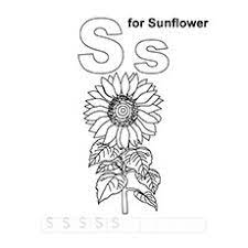 Let your kid enjoy the art of coloring with these printable flowers coloring pages. 15 Beautiful Sunflower Coloring Pages For Your Little Girl