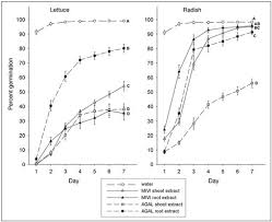 Image result for Microstegium fasciculatum