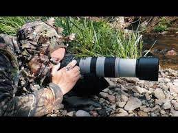 Canon Eos Rp For Wildlife Photography Pros Cons Discussion Tips For Best Results Youtube In 2021 Kinds Of Camera Gopro Photography Wildlife Photography
