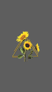 Wallpaper Wallpaper Sunflower Wallpaper Cute Tumblr Wallpaper Tumblr Wallpaper