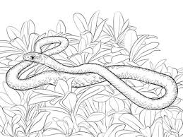 Download and print these printable snake coloring pages for free. Parentune Free Printable Snakes Coloring Pages Snakes Coloring Pictures For Preschoolers Kids