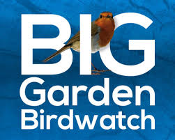 A network of 13,000+ garden birdwatchers and citizen scientists, spread across britain and ireland, and organised by @_bto. Fireweed The Big Garden Birdwatch Nerve Magazine