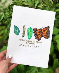 Todo Tiene Su Propio Tiempo Paciencia Frases Mariposas Frases Bonitas Frases