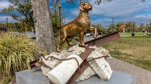 These companies provide plans that cover unexpected. Hero Dogs Of 9 11