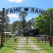 Pin On The Red Clay Table Food