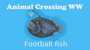 The football fish (チョウチンアンコウ, chōchin'ankō) is an uncommon fish introduced in animal crossing: Animal Crossing Ww Catching A Football Fish Youtube