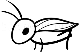 How To Draw A Cricket For Kids, Step By Step, Drawing Guide, By Dawn -  Dragoart