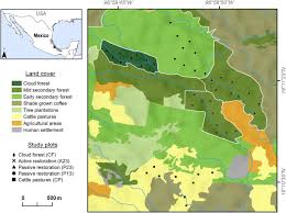 Atlas de méxico grado 4° generación primaria libro de atlas de geografia del mundo 6 grado it also. Does Forest Restoration Assist The Recovery Of Threatened Species A Study Of Cloud Forest Amphibian Communities Sciencedirect