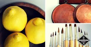 Can you use lemon peels in the garden. 19 Surprising Ways To Use Lemons Gardening Channel