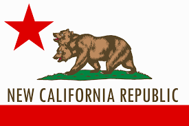 I also replaced the american flag on all ncr variants of the armor with the ncr flag, as per request. So Cal Just One Of The Heads That Make This Mutant State Viable Fallout New Vegas California California Republic