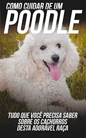 Detailed translations for cuidar from spanish to english. Como Cuidar De Um Poodle Tudo Que Voce Precisa Saber Sobre Os Cachorros Desta Adoravel Raca Portuguese Edition Kindle Edition By Dsf Editora Crafts Hobbies Home Kindle Ebooks Amazon Com