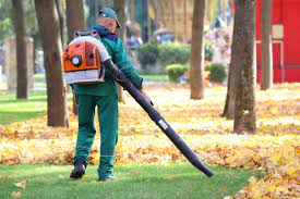 2021 Leaf Removal Costs Yard Clean Up Costs Fall Spring