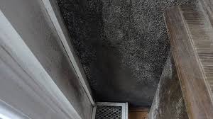 Schimmelpilzbefall stellt eine gefahr für das gebäude und die gesundheit der bewohner dar. Schimmel In Der Wohnung Gesundheit In Gefahr Casano Ch