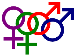 Transphobia is fear or hatred of transgender people. Queer Wikipedia