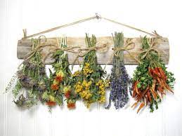 10 herbs to help you with classes. Dried Herb Rack Dried Floral Arrangement Kitchen Decor Herb Decor Country Rustic Primitive Decor Country Decor Rustic Primitive Decorating Kitchen Decor Herbs