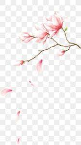 Grafico De Vetor De Flor Cor De Rosa Imagenes Png Sin Fondo Flores Pintadas Imagenes Png