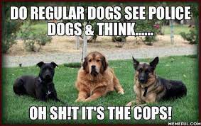 Websaver Ca Mobile Uploads Facebook Dogs Police Dogs Funny Dogs