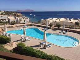 Sharks bay umbi is the ideal diving holiday choice for visitors who want a mixture of authentic and beautiful architecture mixed with a relaxed setting and a great location. Sharks Bay Oasis Apartment Sharm El Sheikh Updated 2021 Prices