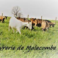 Address, phone number, chevrerie la trufiere reviews: La Chevrerie De Malacombe A Saint Martin En Haut Locavor Fr