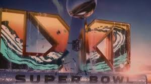 THE MIAMI DOLPHINS ARE GOING TO THE SUPER BOWL