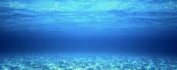 Water Quotes Cape Fear River Assembly